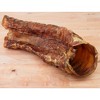 Chasing Our Tails Dehydrated Bison Trachea for Dogs 1 Count - 2 of 3