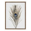 Kate and Laurel Sylvie Peacock Feather Framed Canvas by Simon Te of Tai Prints - 2 of 4