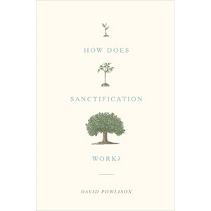 How Does Sanctification Work? - by  David Powlison (Paperback) - 1 of 1