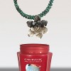 Connoisseurs Silver Jewelry Cleaner - image 4 of 4