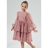 2Bunnies Girls' Organza Long Sleeve Tiered Babydoll Skater Dress - 4 of 4
