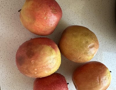 Apples, Pink Lady 3# Bag – The Good Earth Food Co-op