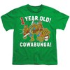 Teenage Mutant Ninja Turtles Cowabunga Birthday Youth T Shirt, Kelly Green - 2 of 4