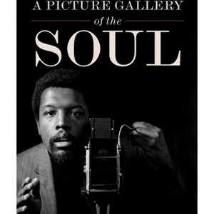 A Picture Gallery of the Soul - by  Howard Oransky (Hardcover) - 1 of 1