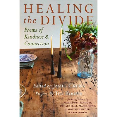 Healing the Divide - by  James Crews (Paperback)