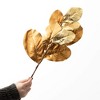 28"H Sullivans Artificial Christmas Metallic Gold Magnolia Pick, Indoor Christmas Decor - 3 of 3