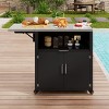 Outdoor Kitchen Island Cart with Expandable Fold-Out Tabletop, Storage Cabinet, Pull-Out Drawer Lockable Wheels for Patio or BBQ Space-The Pop Home - 2 of 4