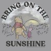 Boy's Winnie the Pooh Piglet Bring On The Sunshine Pull Over Hoodie - 2 of 4
