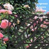 PAGED Metal Balcony Privacy Screens Outdoor and Panels with Free Standing, Freestanding Outdoor Privacy Screen, Privacy Fence Screen - 4 of 4