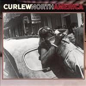 Curlew - North America (CD) - 1 of 1