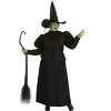 HalloweenCostumes.com Plus Size Wizard of Oz Wicked Witch Costume, Black Dress Robe & Hat for Wicked Witch of the West Outfit - 2 of 4