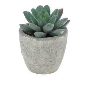 Unique Bargains Artificial Plants Mini Pulp with Graptopetalum Plastic Green 2.76"x2.76"x3.15" 1 Pc - 1 of 4