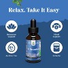 L-Theanine Liquid Drops, Nootropic Focus Supplement with L Theanine 200mg Per Serving + Chamomile Extract, Relaxation & Focus, Nature's Craft, 2oz - 3 of 4