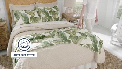 Reversible Gray Cotton Twin Quilt Set with Fern Design