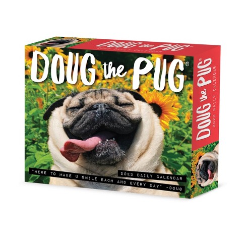 Willow Creek Press 2023 Desktop Box Calendar Doug The Pug : Target