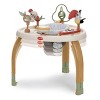 Tiny Love 5-in-1 Deluxe Stationary Activity Center - Boho - 2 of 4