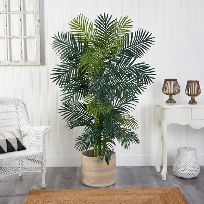 Tropical Escape Golden Cane Palm in Handmade Multicolor Cotton Planter