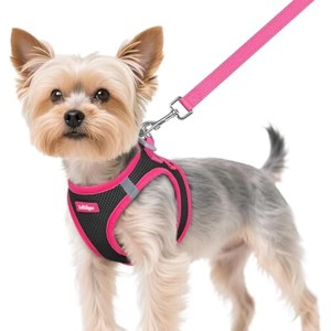 rabbitgoo Dog Harness Small Sized and Leash Set, Step-in Breathable Pet Harness, Soft Walking Reflective Puppy  Rose Red, XS - 1 of 1