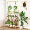 SUGIFT 3-Tier Bamboo Plant Shelf with Hanging Rod – Multi-Functional Wooden Plant Stand for Indoor/Outdoor Use - 2 of 4