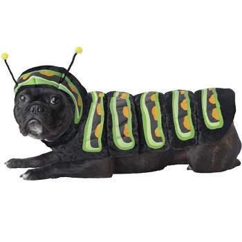 California Costumes Caterpillar Pet Costume