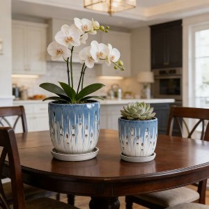 KTMBDW Ceramic Plant Pots Set of 2, 8/6 inch Planters with Drainage ...