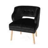Mariposa Mid Century Accent Chair - Christopher Knight Home