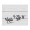 Trademark Fine Art Antonio Carrillo Lopez White Carpet Wood Slat Art - 3 of 4