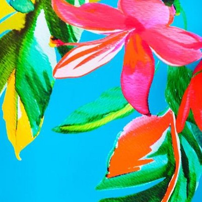 baia tropical placement