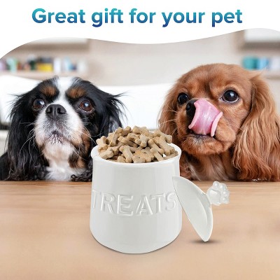 Ivory White Ceramic Dog Treat Jar with Airtight Lid