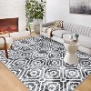 Acekool Washable Area Rug, Modern Geometric Non-Slip Soft Low Pile Stain Resistant Carpet for Living Room Bedroom, Easy Care - 2 of 4