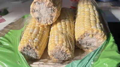 Guest review image 2 of 3, zoom in