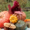 Meri Meri Mixed Thanksgiving Honeycomb Decorations (Pack of 11) - 3 of 4