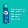 Dream Water Beauty Sleep Aid Drink Supplement; Melatonin 5mg, GABA, 5-HTP, plus - 4 of 4