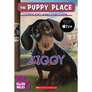 Ziggy (the Puppy Place #21) - by  Ellen Miles (Paperback) - 1 of 1
