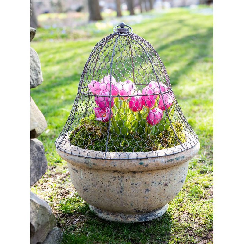 Gardener’s Supply Company Sturdy Chicken Wire Cloche Plant Protector & Cover | Sturdy Metal Cage Garden Protection for your Plants and Seedlings | No, 2 of 6