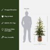 LuxenHome 4Ft Pre-Lit Winter Green Artificial Evergreen Christmas Tree Potted - 4 of 4