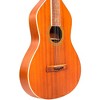 Gold Tone GT-Weissenborn Hawaiian-Style Slide Guitar With Gig Bag Vintage Brown - 3 of 4