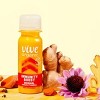 Vive Organic Immunity Boost  Original Ginger & Turmeric Wellness Shot - 2 fl oz - image 2 of 4