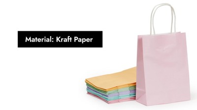 25-Pack Pastel Paper Gift Bags with Handles