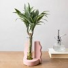 Savvy Pink - Good Little Garden™ - 2 of 4