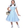 HalloweenCostumes.com Deluxe Kansas Girl Kids Costume - 2 of 3