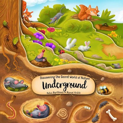 Discovering the Secret World of Nature Underground - (Peek Inside) by  Petra Bartikova (Board Book)