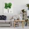 Stupell Industries Vintage Fan Palm Plant Canvas Art - 3 of 4