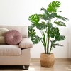 Northlight 5' Potted Wide Leaf Green Monstera Artificial Floor Plant - image 2 of 4