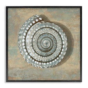 Stupell Industries Spiral Shell Beach Objects Design, 24" x 24" - 1 of 4