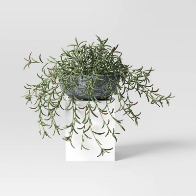 10&#34; Fish Hook Sedum Artificial Plant - Threshold&#8482; designed with Studio McGee