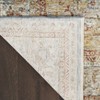 Nourison Petra Vintage Medallion Indoor Rug - 3 of 4