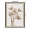Amanti Art Poppies in Sepia II by Tim Otoole Wood Framed Wall Art Print - 3 of 4