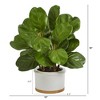 Nearly Natural 15-in Fiddle Leaf Artificial Tree in White Planter - 2 of 3