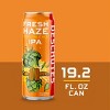 Deschutes Fresh Haze IPA Beer - 19.2 fl oz Can - 2 of 4